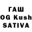 MDMA Molly Olga Sagalova