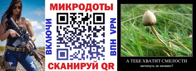 Галлюциногенные грибы ЛСД  MEGA вход  Котлас 